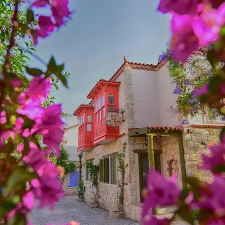 Perla Rossa 알라카티